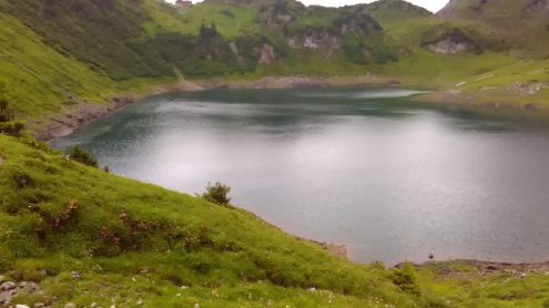 Formalinsee